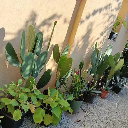 Stella's Monteurswohnungen