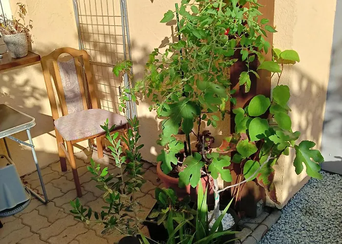 Stella's Monteurswohnungen Crimmitschau