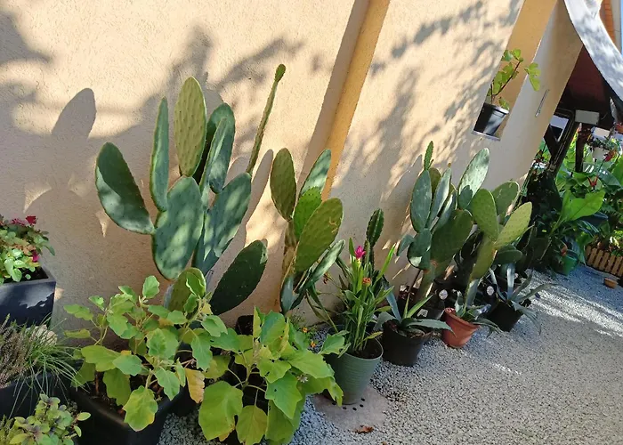 Stella's Monteurswohnungen